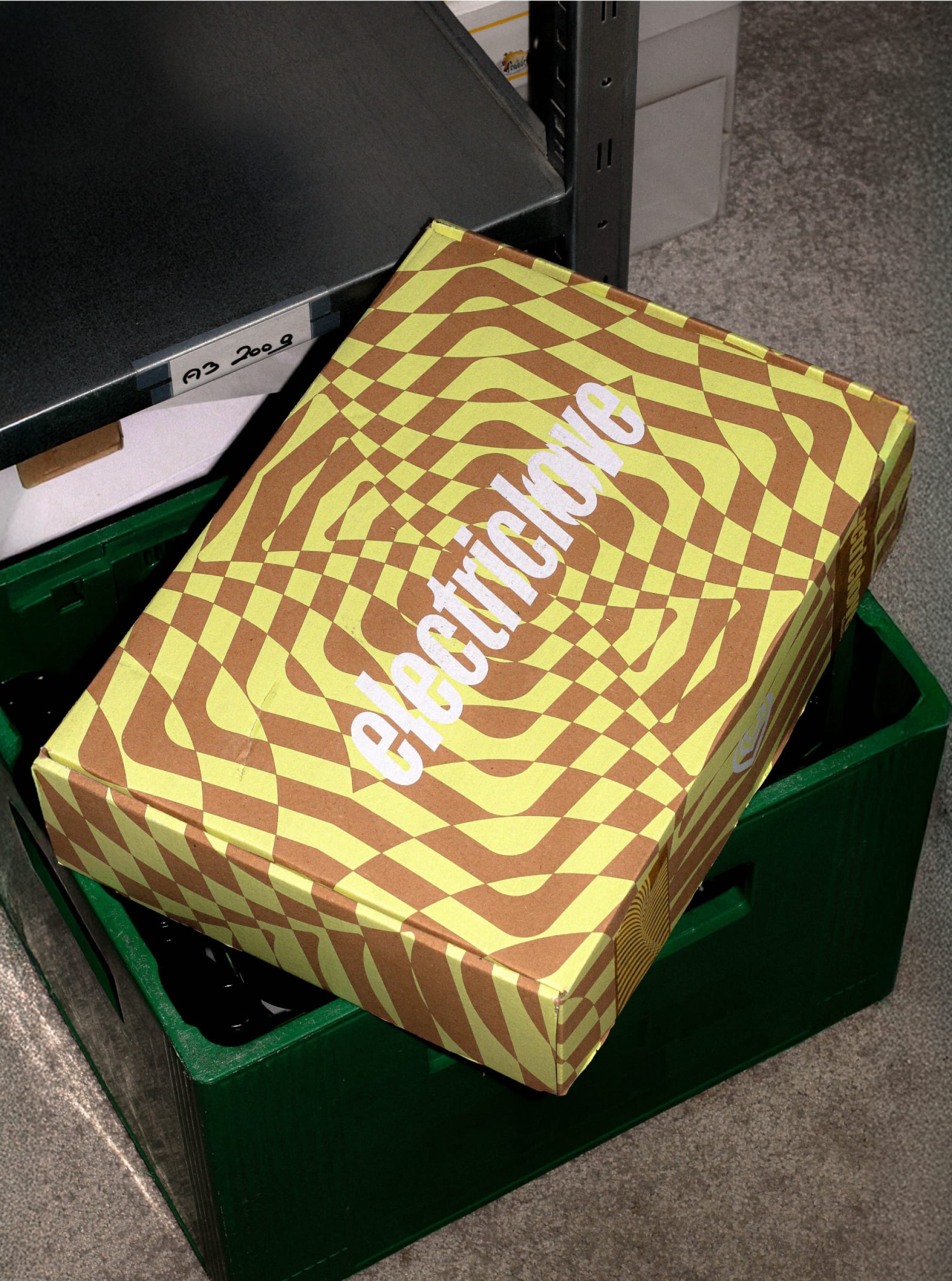 Eine „electriclove“-Box mit Schachbrettmuster auf einer grünen Kiste unter einem Regal.