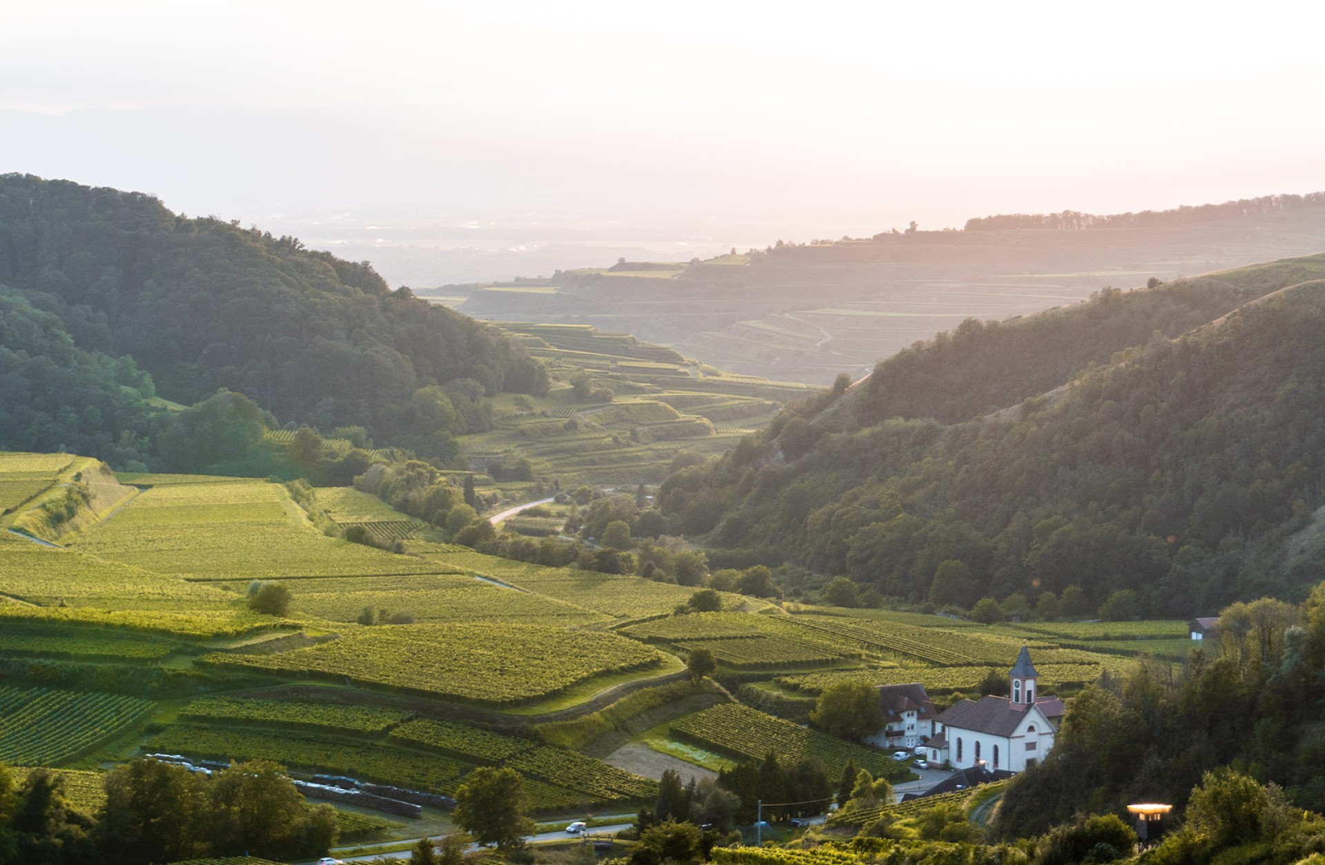 Eine Luftaufnahme des Elsass mit grünen Weinbergen in einem Tal und einer Kirche.