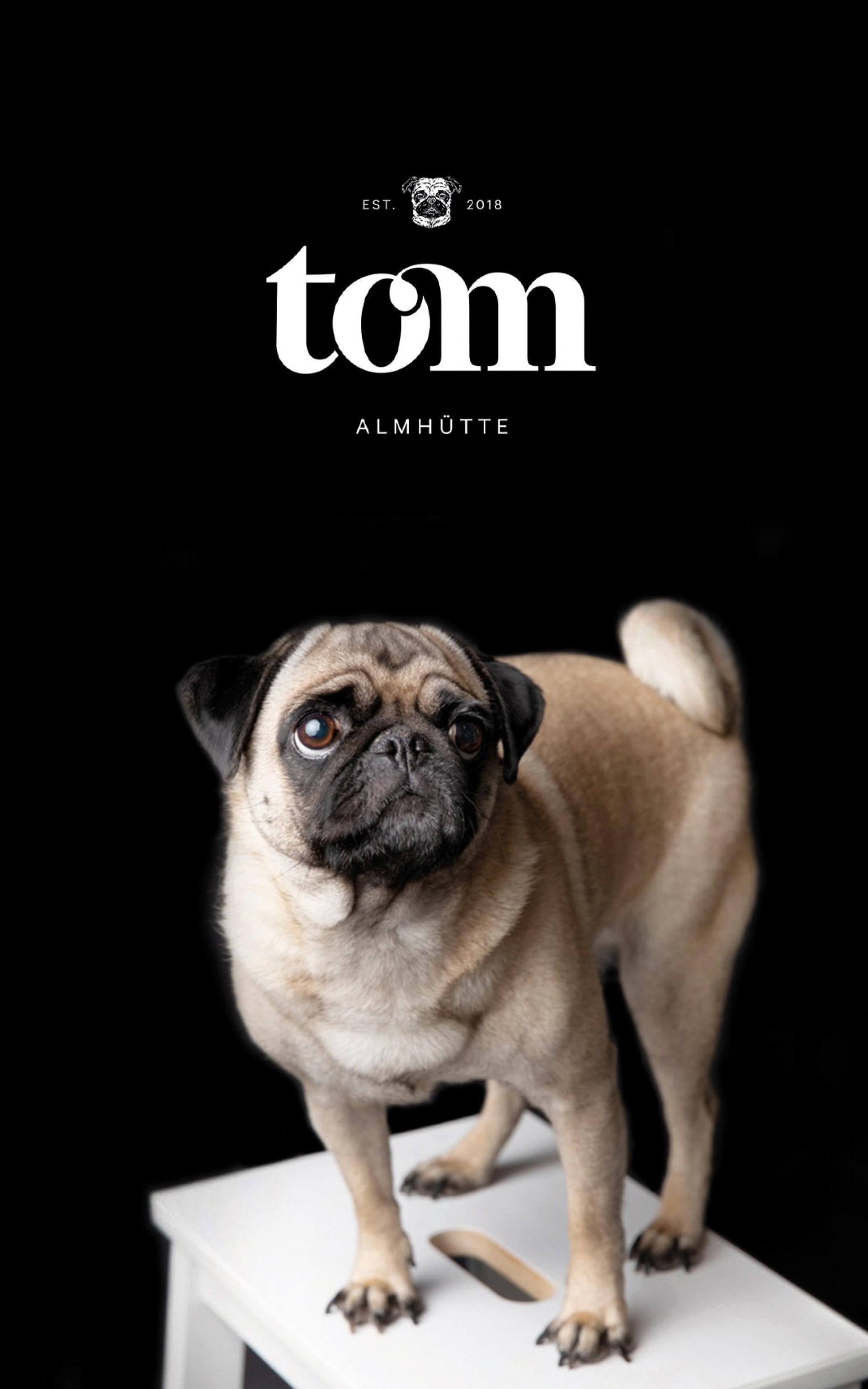 Ein Mops steht auf einem Hocker vor einem schwarzen Hintergrund. Text: "Tom Almhütte, Est. 2018".