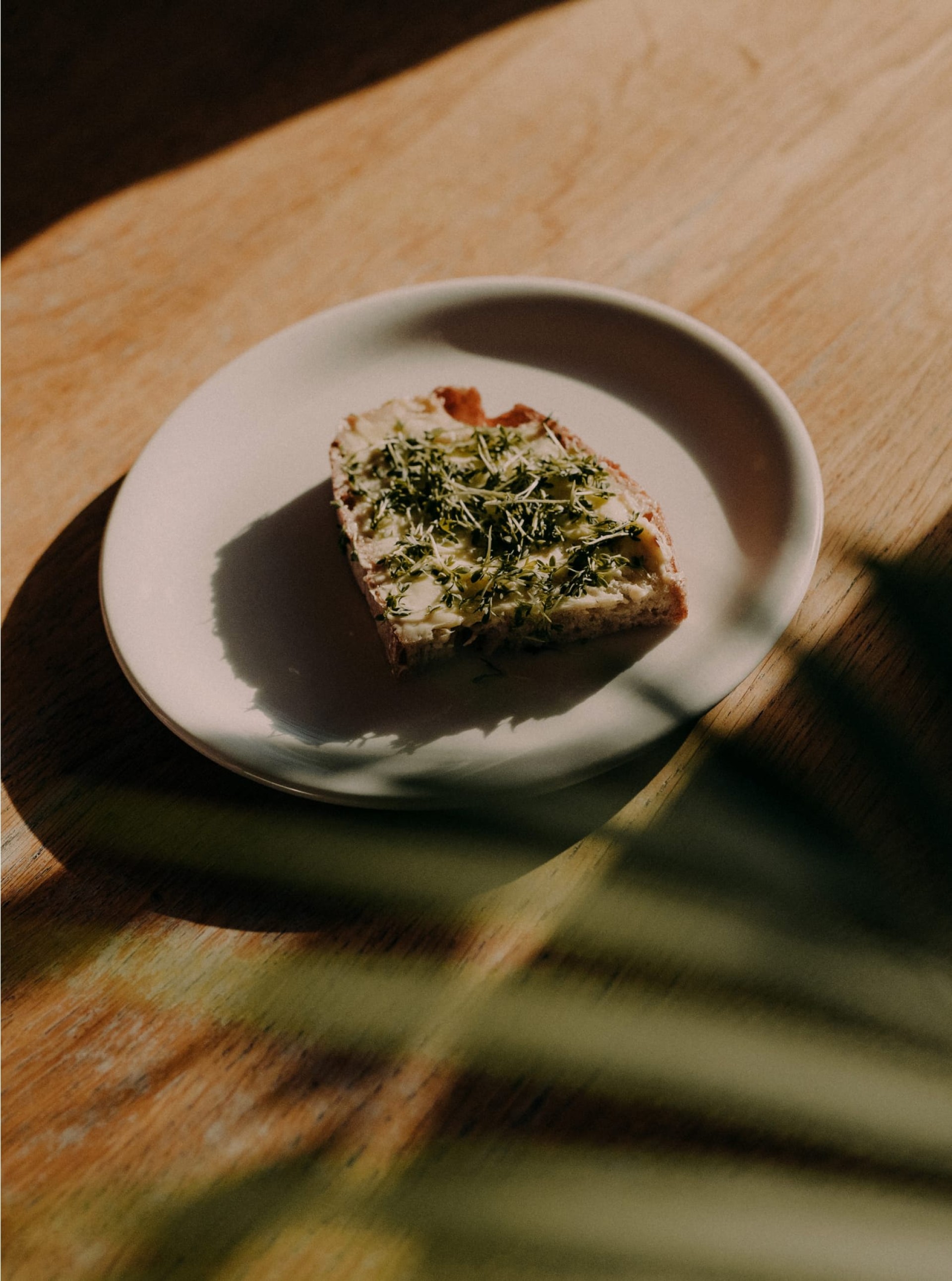 Toast mit Sprossen auf einem Teller auf einem Holztisch mit Blättern.