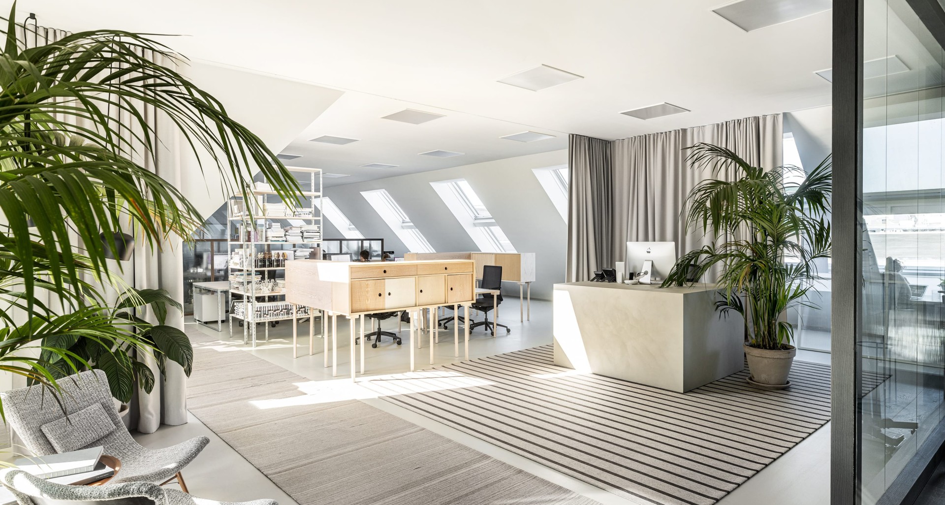 Ein Büro mit viel Licht und Pflanzen. Es gibt Schreibtische, Regale und Stühle.