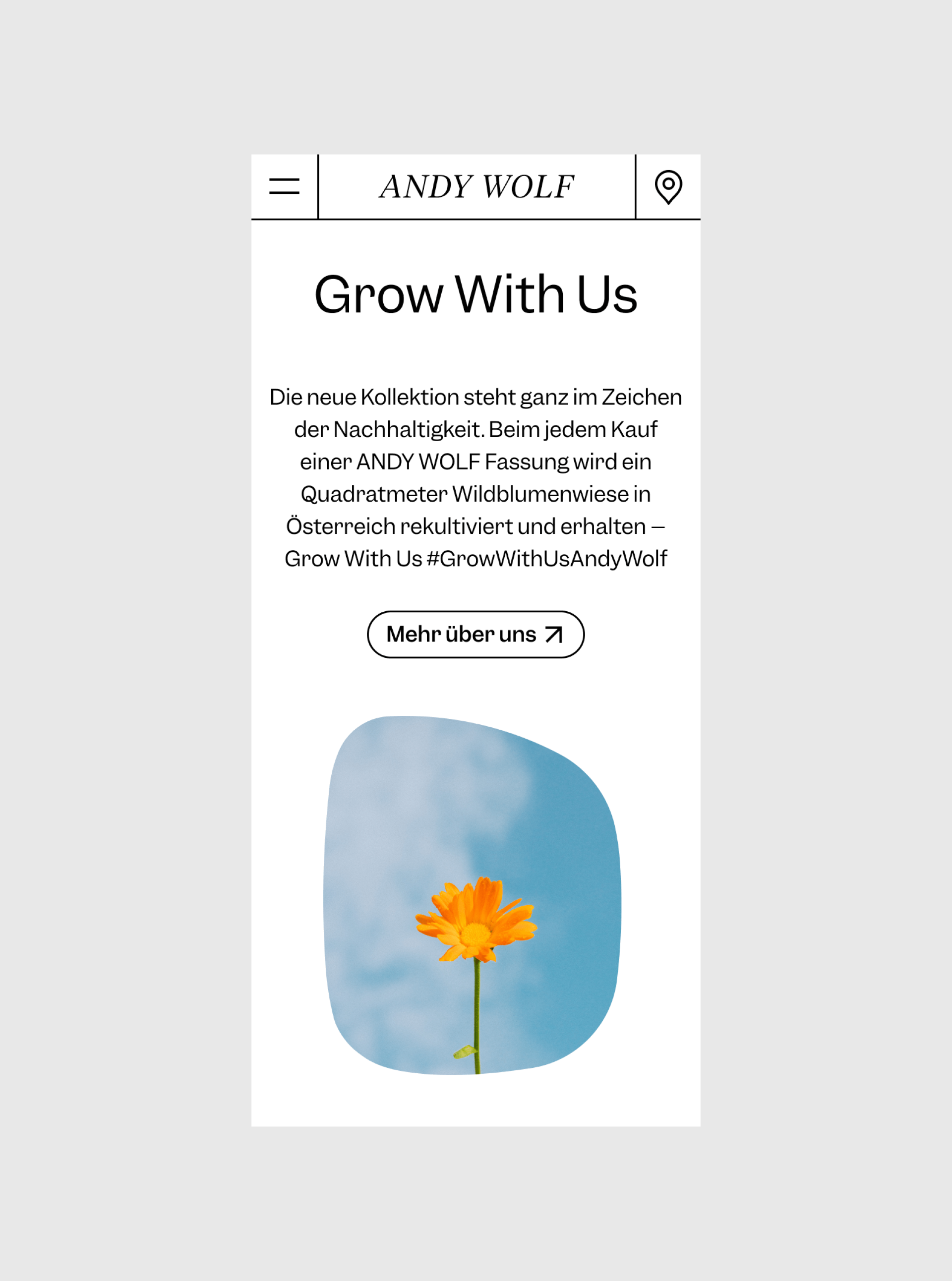 andy_wolf_website_moodley_mobile_teaser_nachhaltige_kollektion