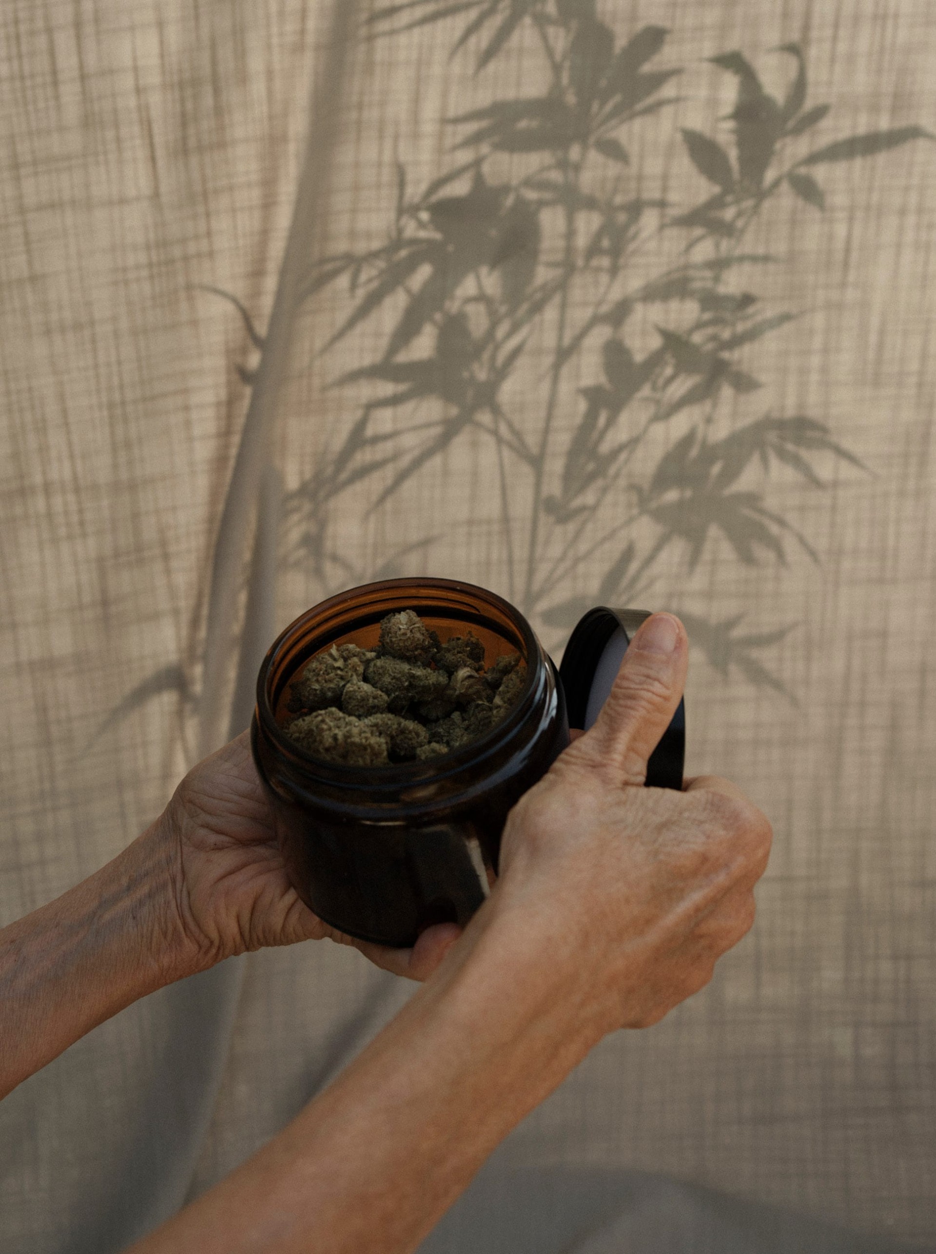 cbdnol_moodley_branding_geöffnete_dose_hanfblüten