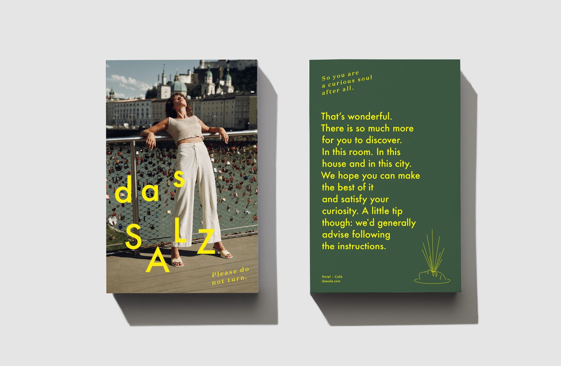 das_salz_moodley_branding_flyer
