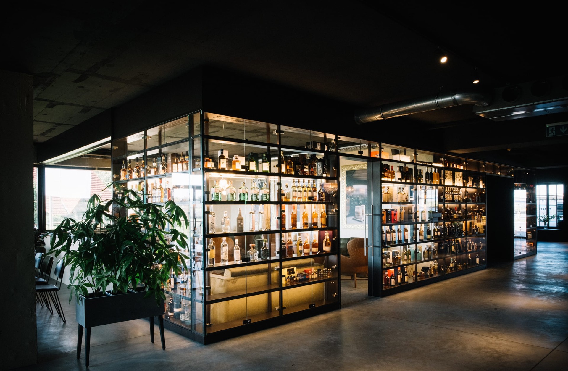 david_gölles_moodley_branding_bar