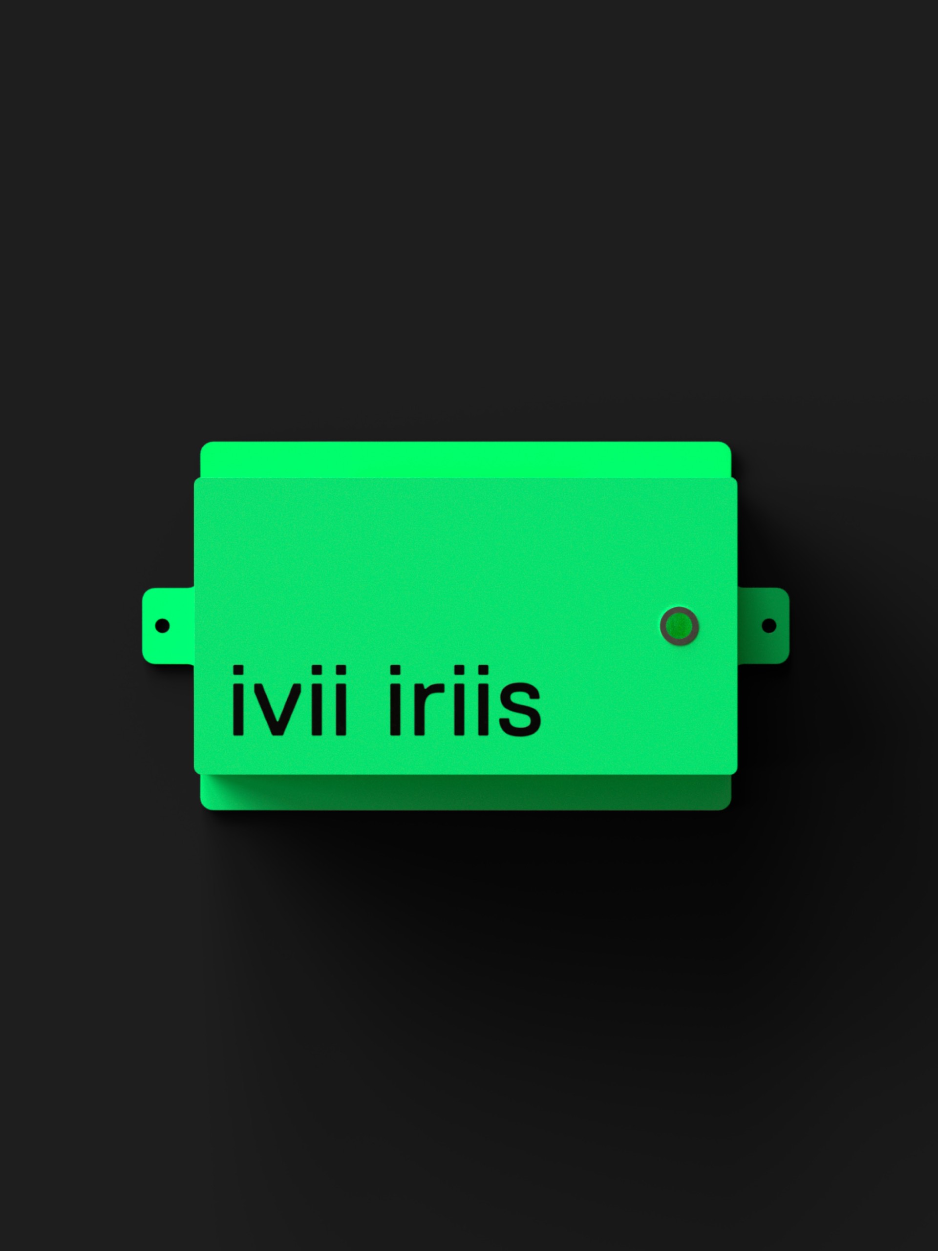 ivii_moodley_branding_ivii_iriis