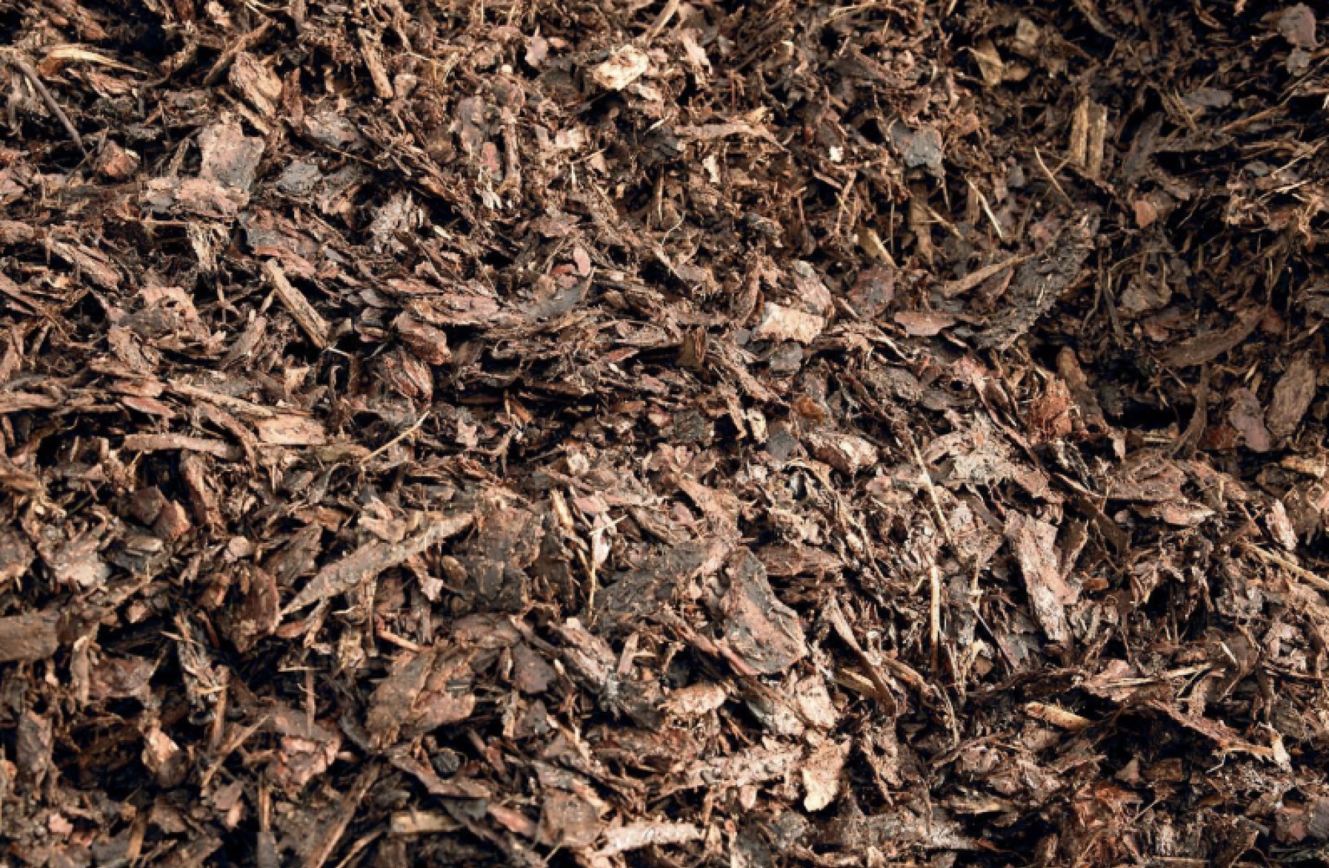 Nahaufnahme von Mulch aus Holzspänen mit Textur.
