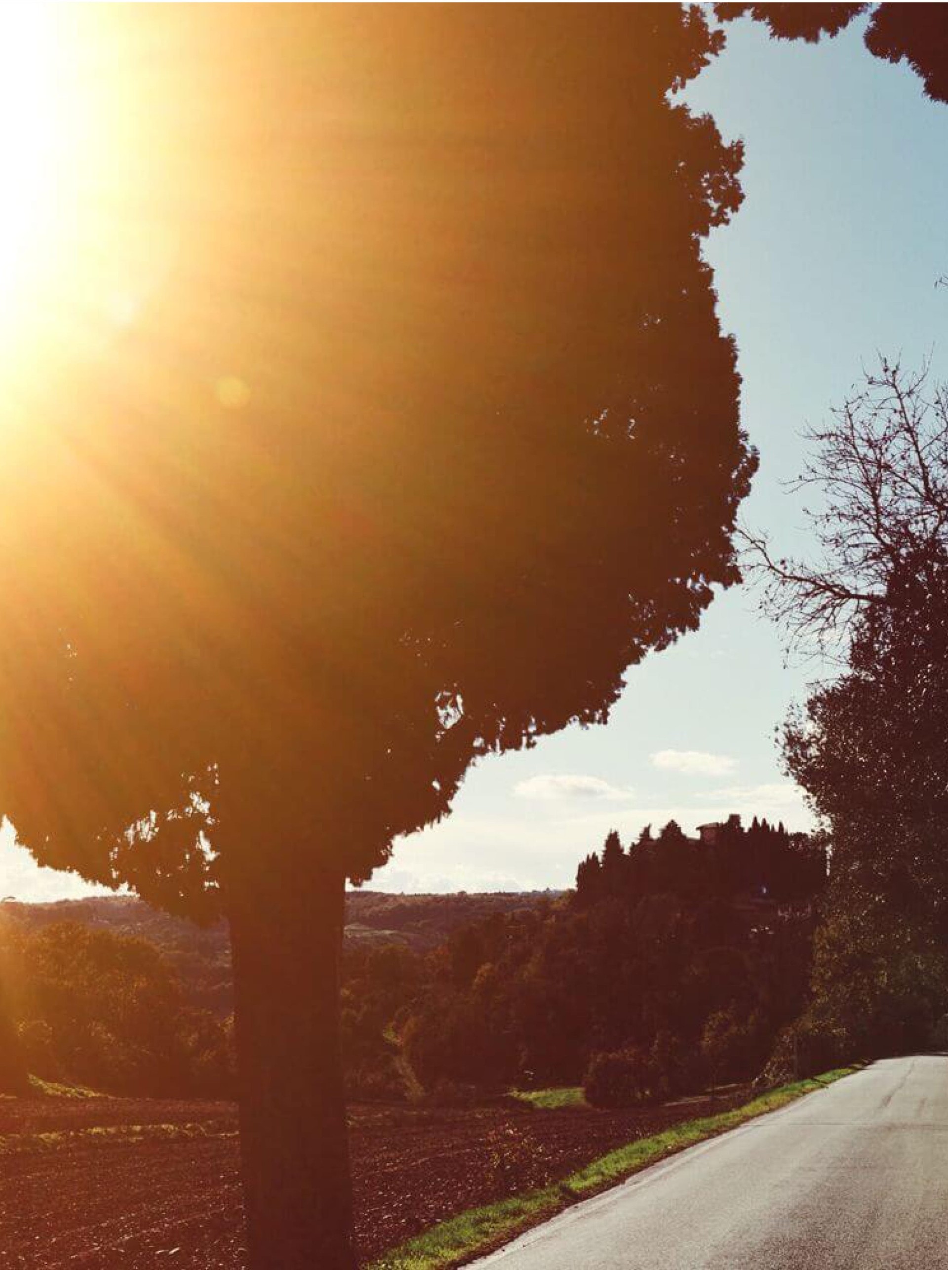 Tuscany_lifestyle_viani_italian_branding