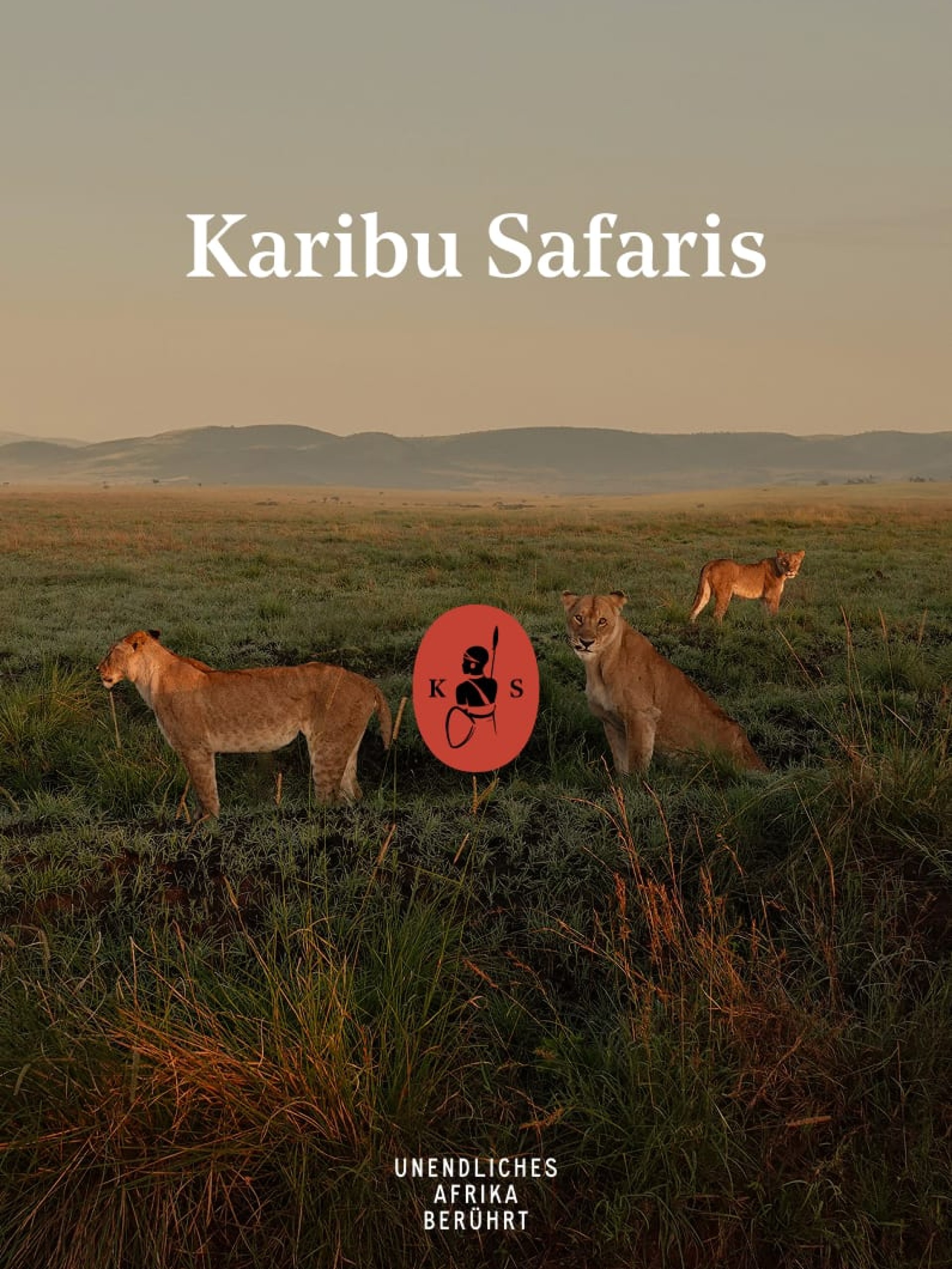 Löwen in Graslandschaft. Text: "Karibu Safaris" und "Unendliches Afrika Berührt" mit Logo.