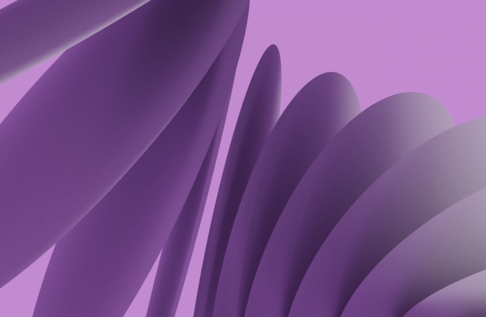 Eine Nahaufnahme von vertikalen violetten Formen mit Farbverläufen auf violettem Hintergrund.