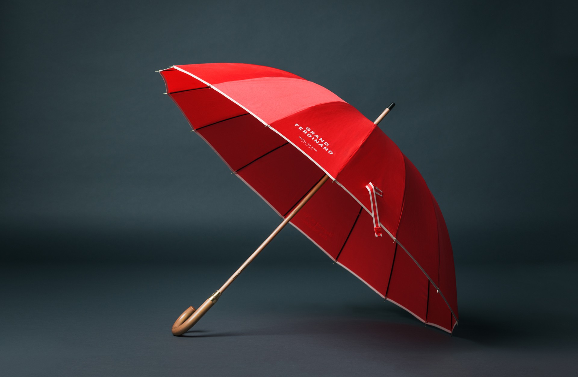 grand_ferdinand_moodley_branding_regenschirm