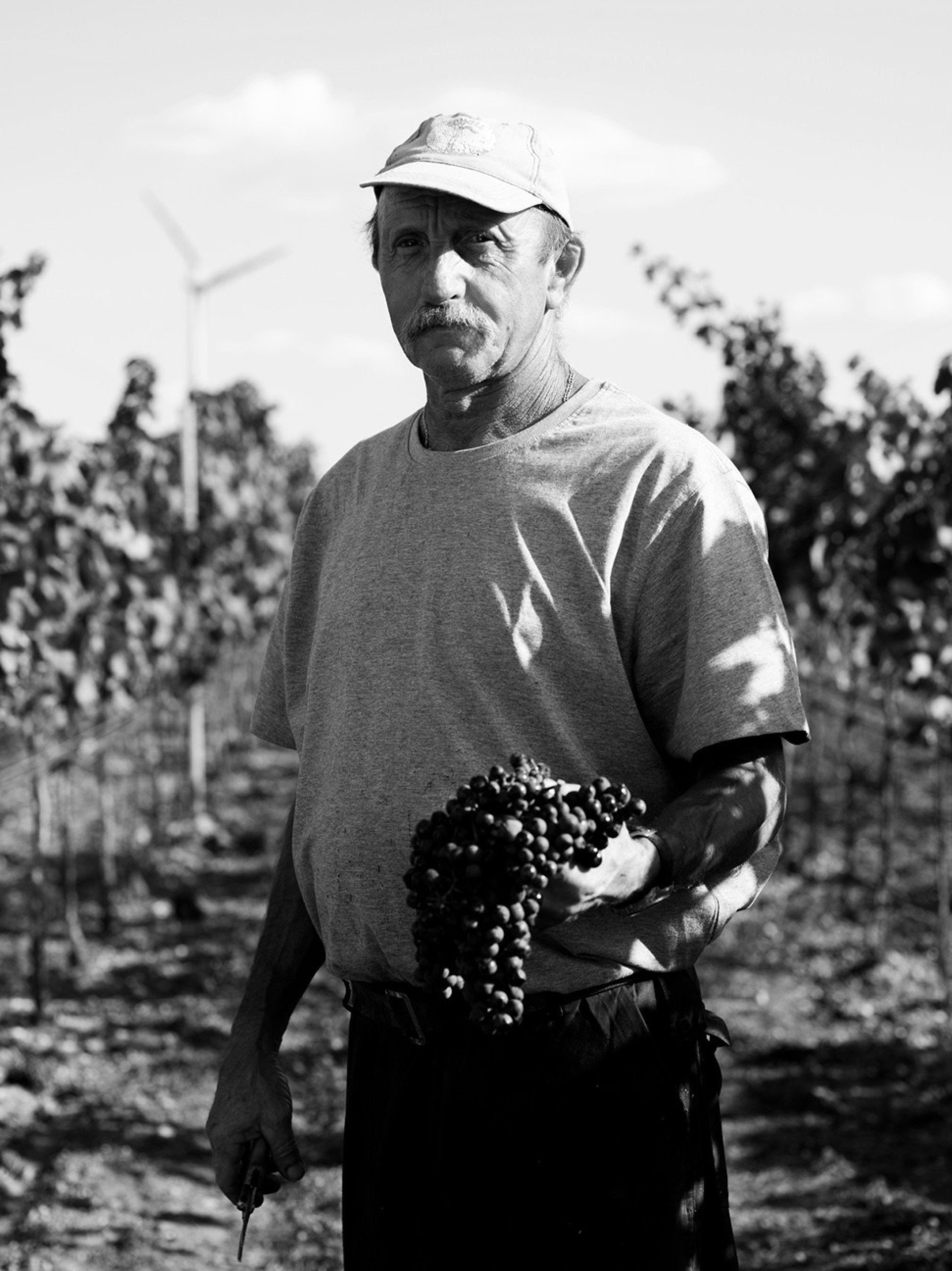 hannes_reeh_branding_wein_arbeiter