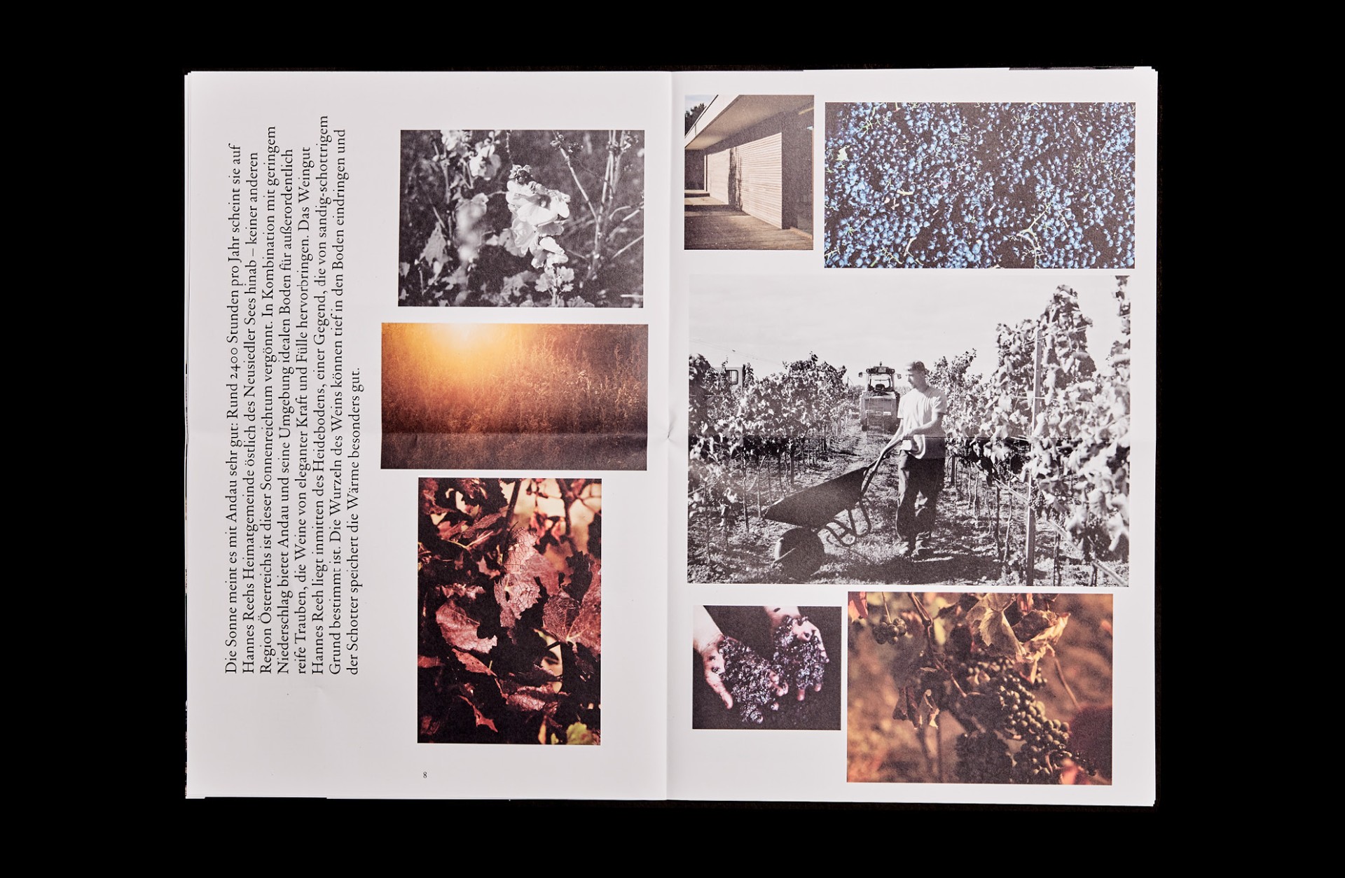 hannes_reeh_branding_magazin