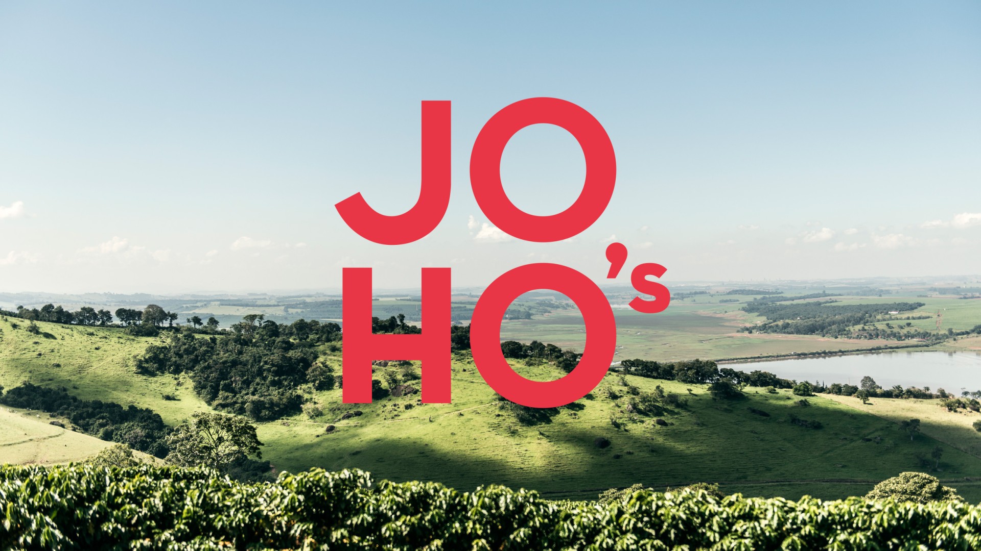 JOHO´s_moodley_branding_logo_natur