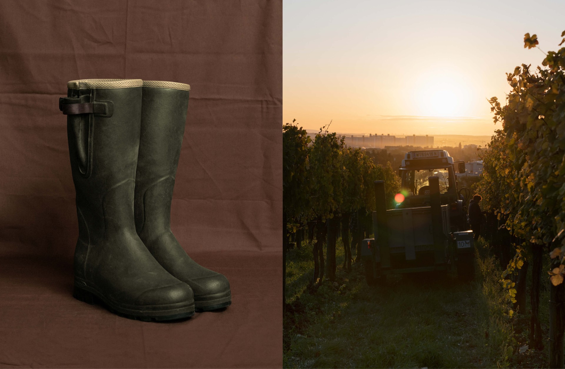 zahel_moodley_branding_weinberge